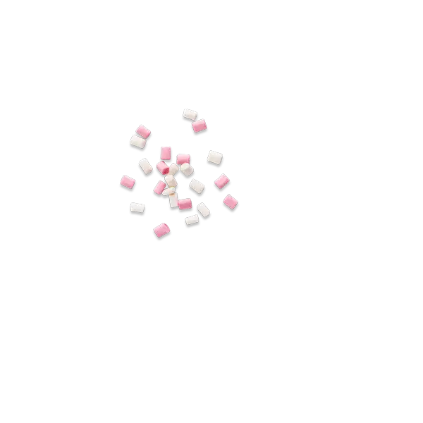 Flagship Waffle Experience - stroopwafel with toppings