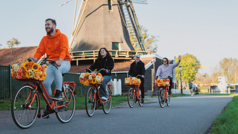 Amsterdam cheese & windmill countryside bike tour