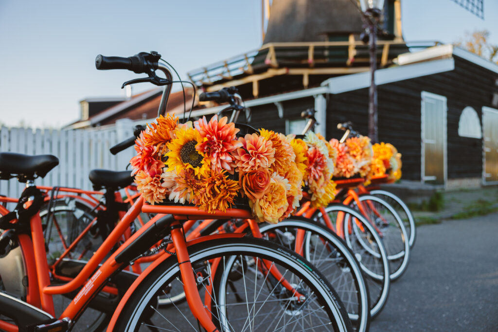 Bike Rentals