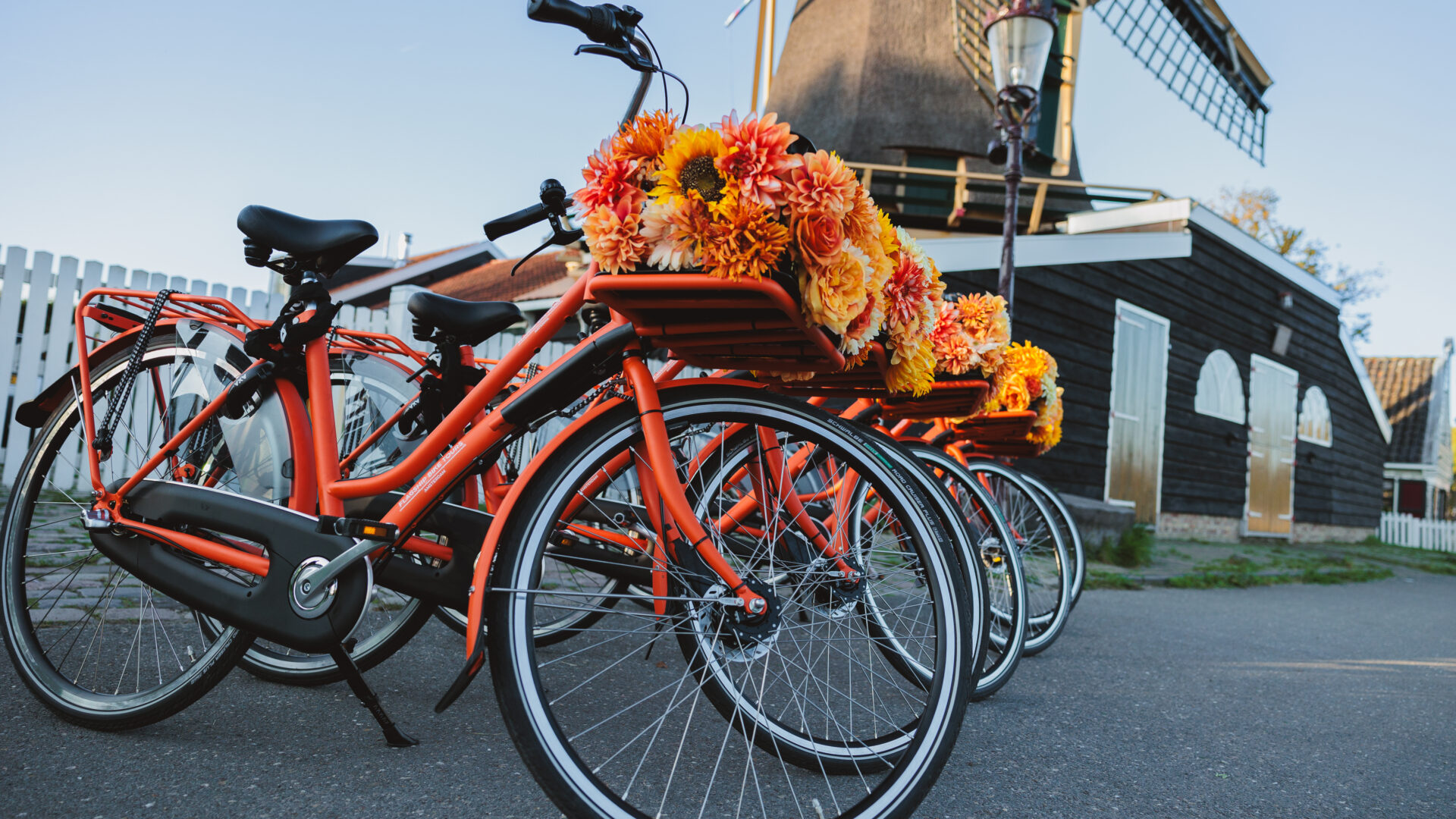Alquiler de bicicletas - Flagship Bike Tours