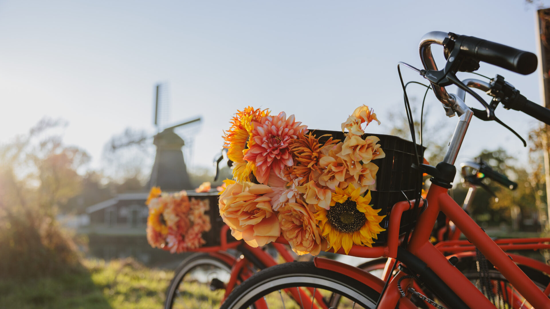 Countryside Bike Tour