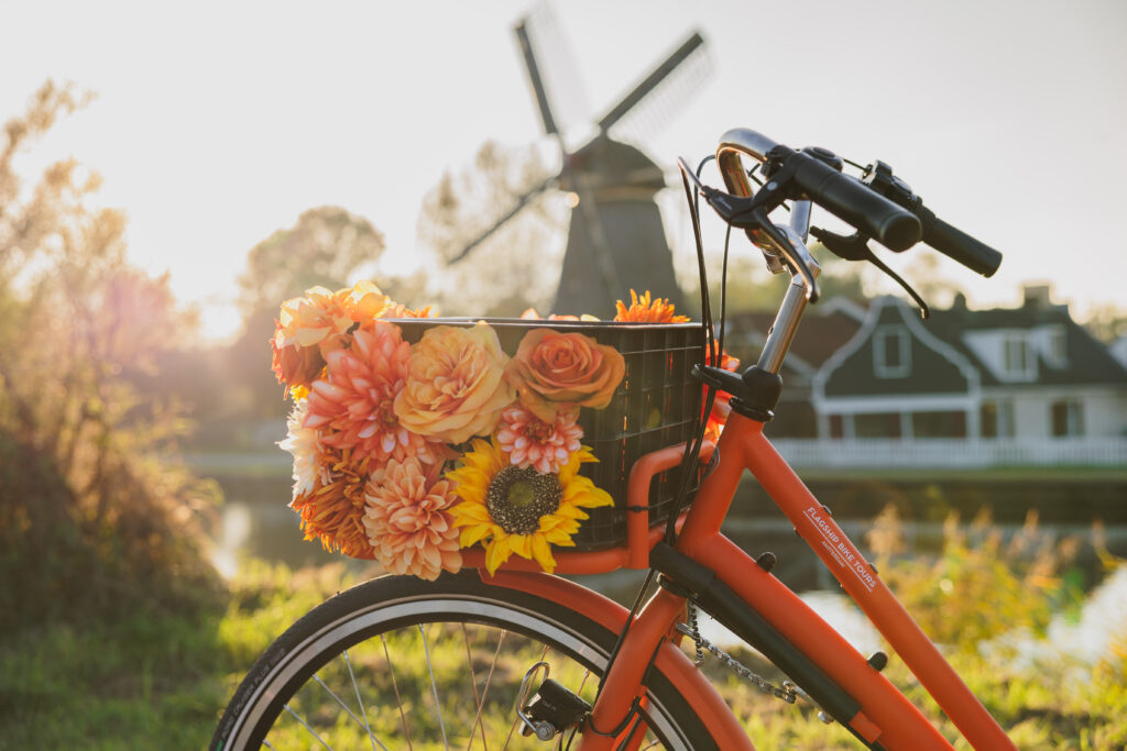 Countryside Bike Tour