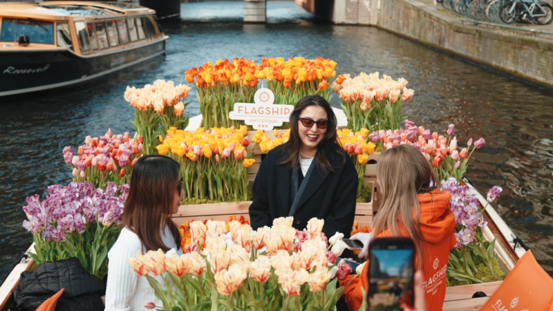 Tulips in Amsterdam