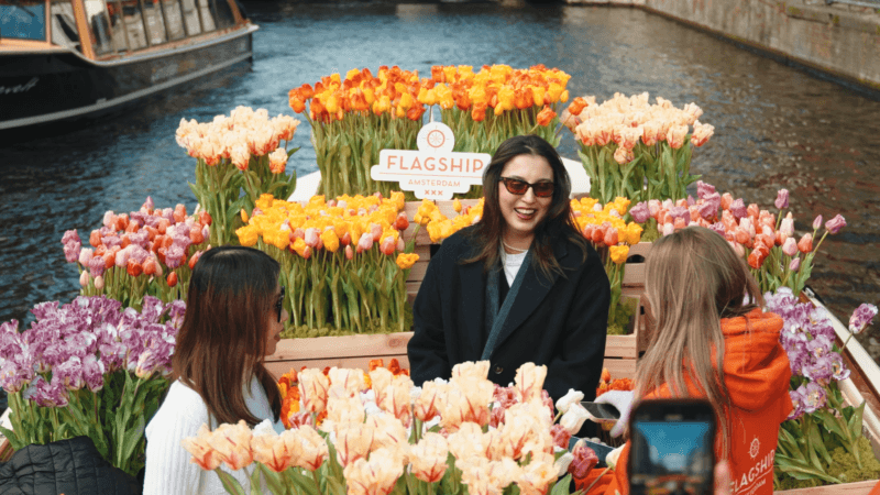 Tulipes à Amsterdam