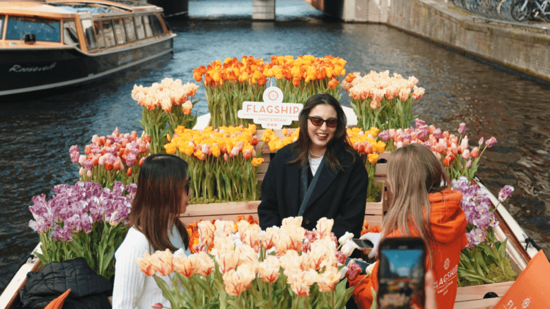 Tulipani ad Amsterdam