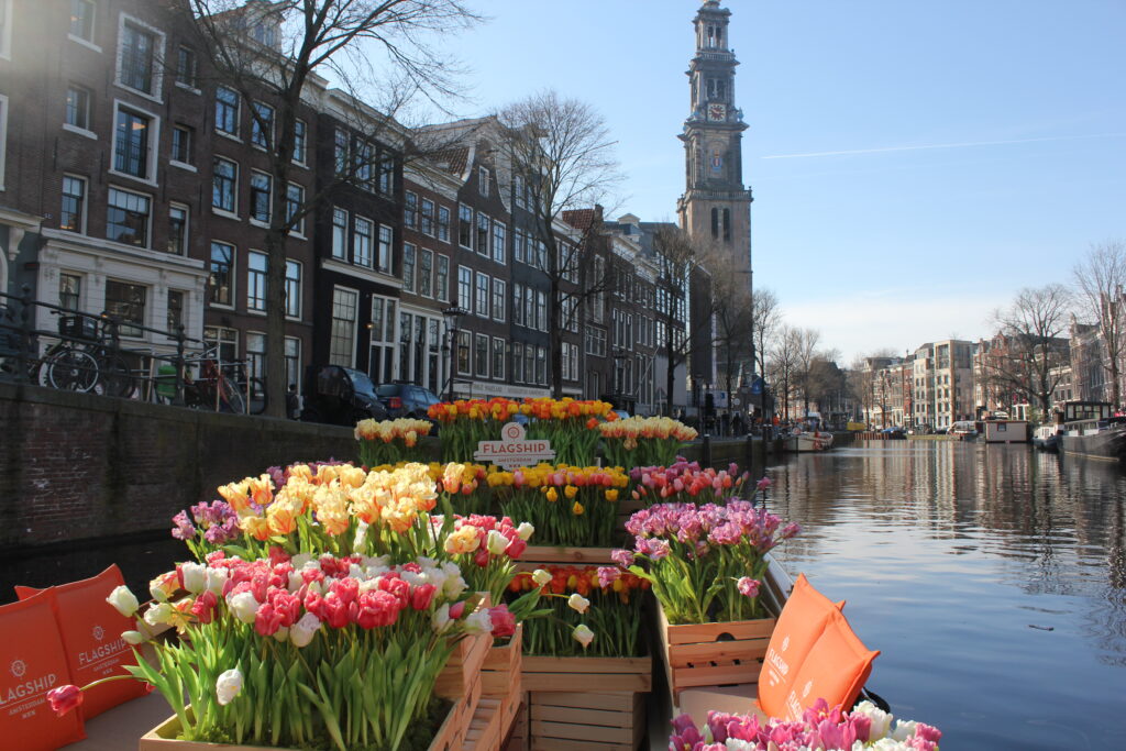 Tulip Tour: un crucero único por Ámsterdam
