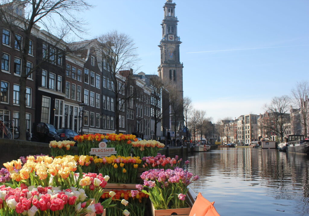 Tour des Tulipes – Une croisière unique à travers Amsterdam