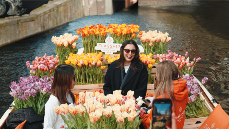Where to see tulips in Amsterdam