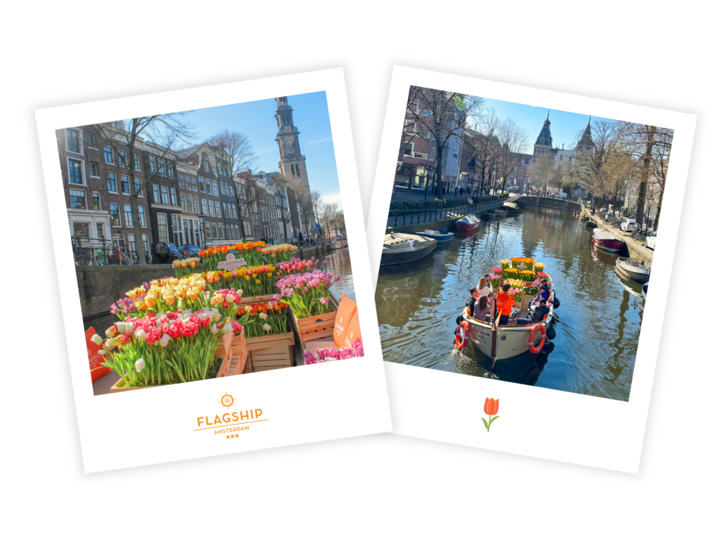 Tulip Cruise Amsterdam