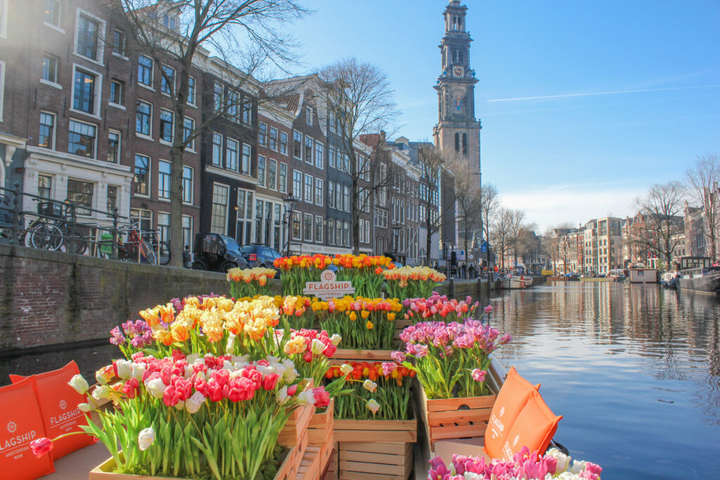 Tulip Tour – A Unique Amsterdam Canal Cruise