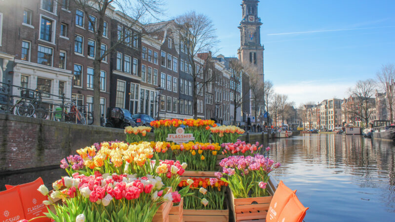 Tour des Tulipes – Une croisière unique à travers Amsterdam