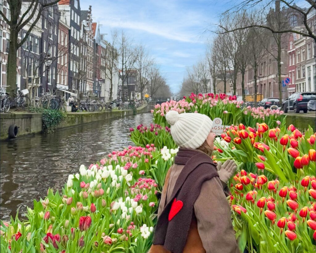 Tulip Tour – A Unique Amsterdam Canal Cruise