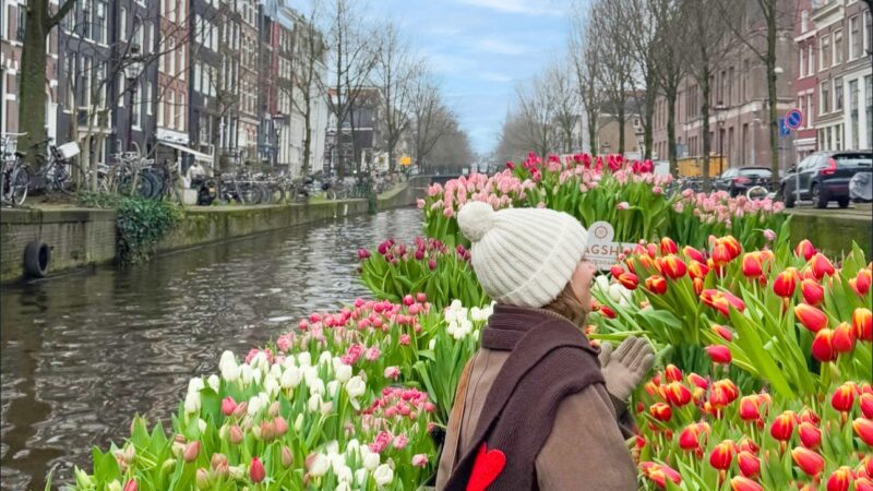 Tour des Tulipes – Une croisière unique à travers Amsterdam