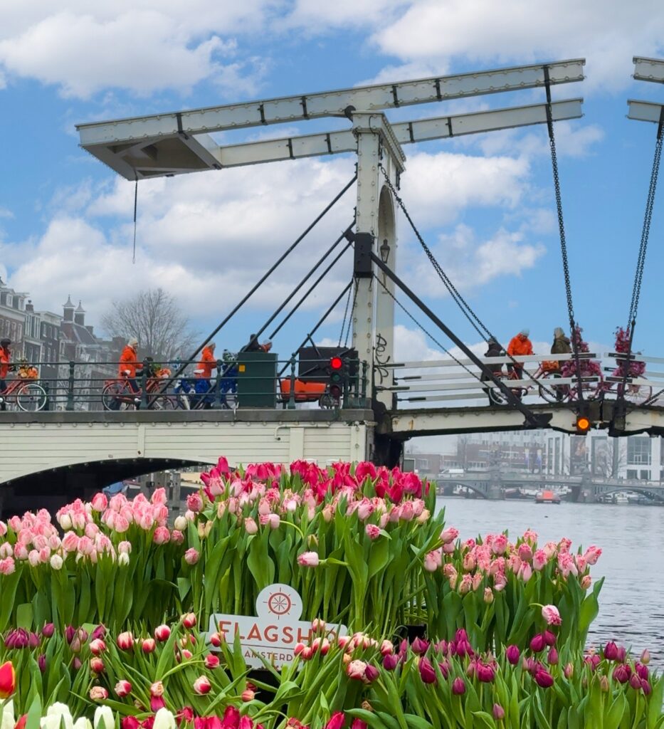 Tulip Tour – A Unique Amsterdam Canal Cruise