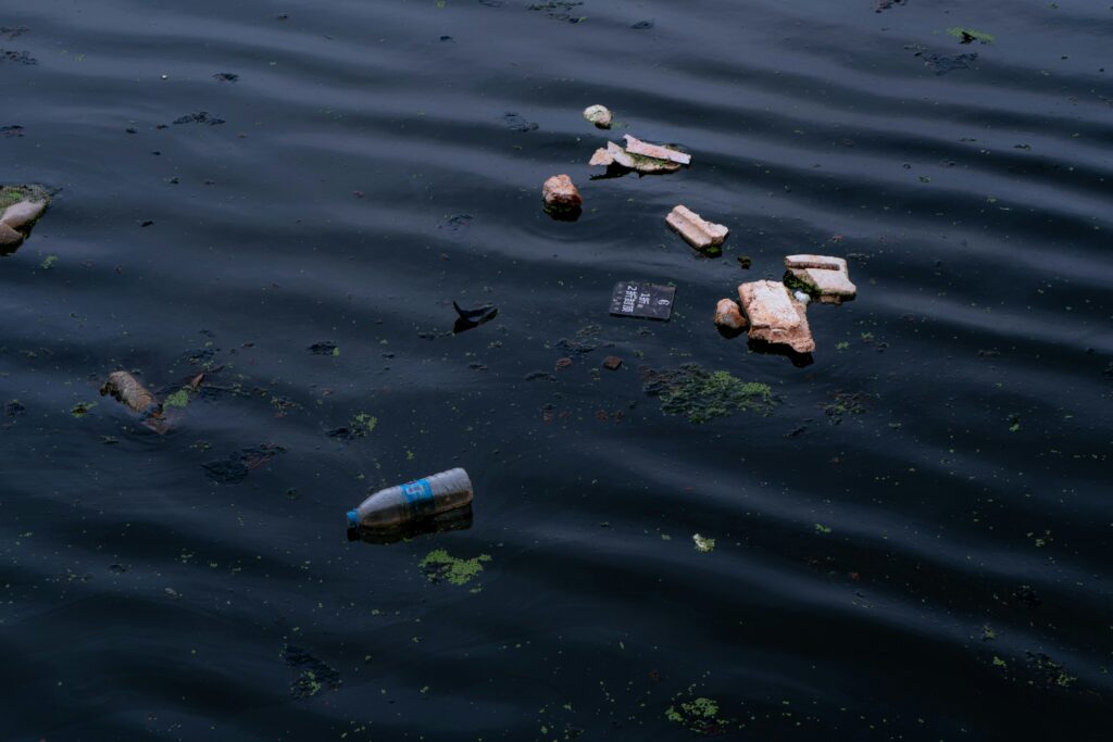 Plastic Fishing