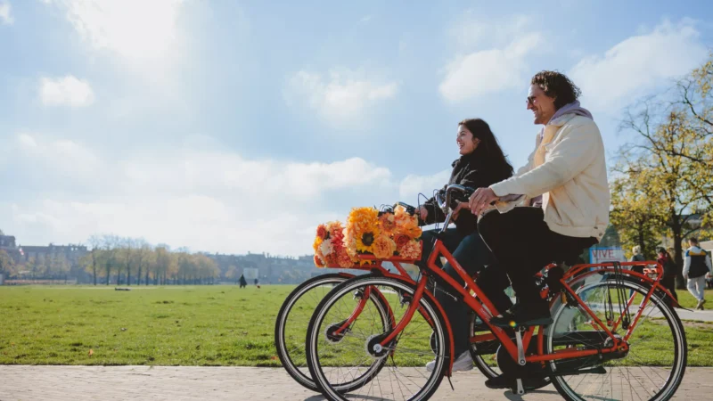 Bike Rentals