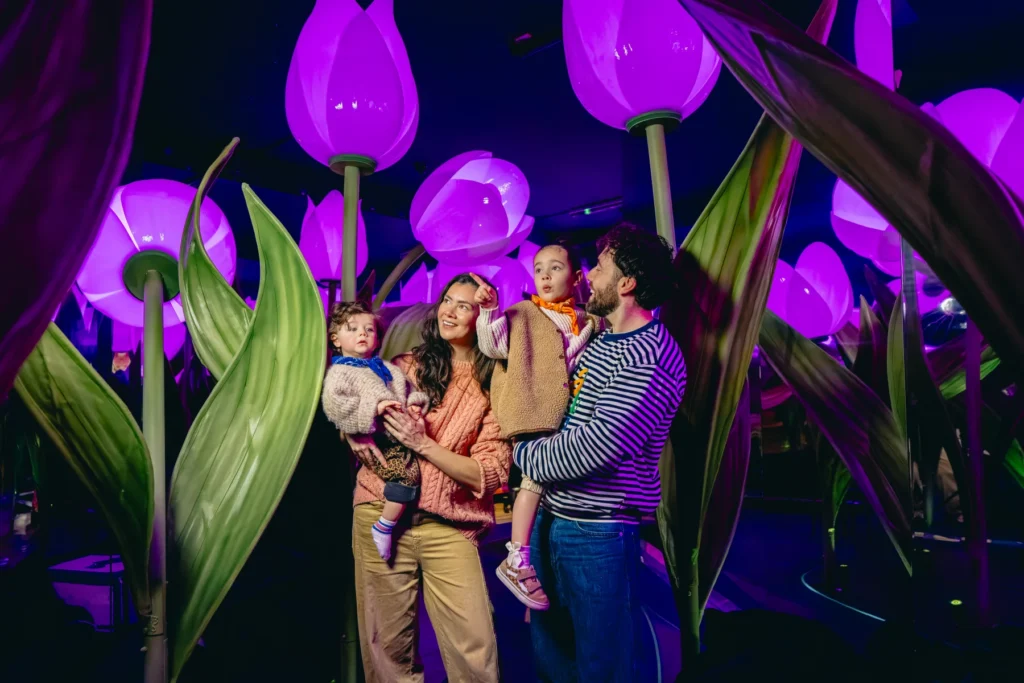 Highlights of Holland Musuem