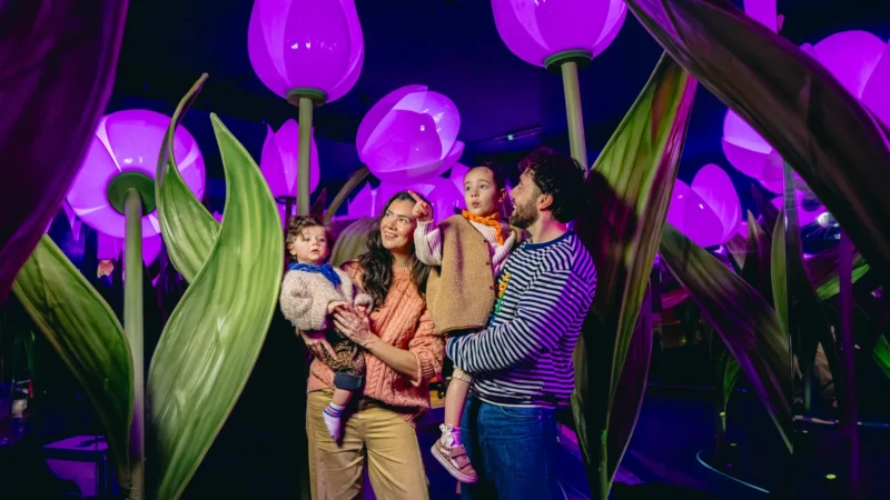 Highlights of Holland Musuem